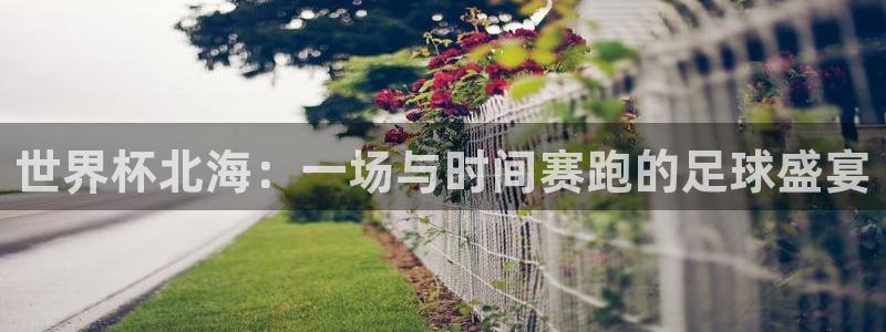 2026世界杯赛制：世界杯北海：一场与时间赛跑的足球盛宴