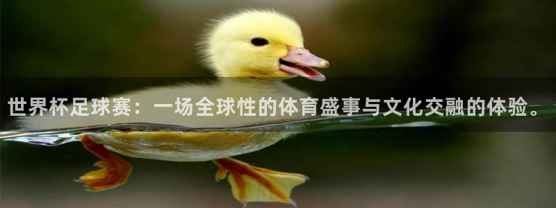 2026世界杯中国队：世界杯足球赛：一场全球性的体育盛事与文化交融的体验。