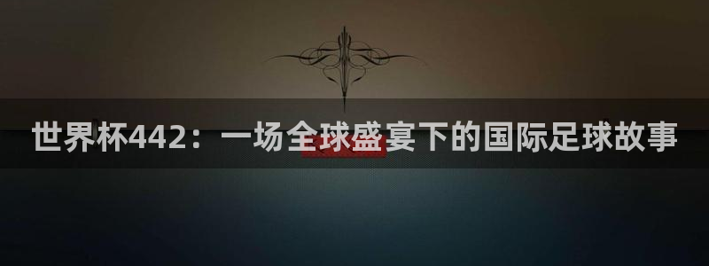 世界杯直播在线观看入口：世界杯442：一场全球盛宴下的国际足球故事