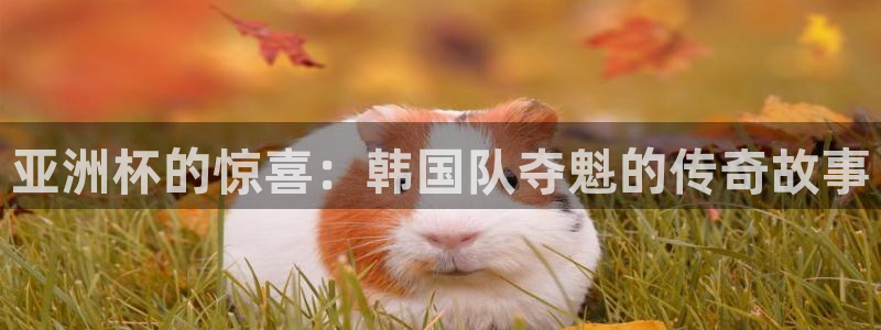 世界杯赛程表：亚洲杯的惊喜：韩国队夺魁的传奇故事