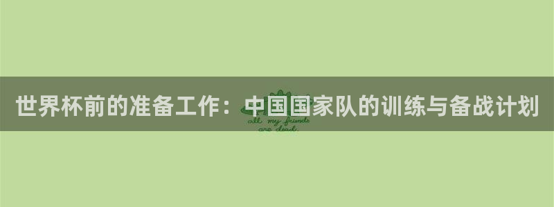 世界杯球队排名：世界杯前的准备工作：中国国家队的训练与备战计划