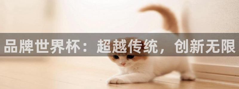 2026世界杯官网：品牌世界杯：超越传统，创新无限