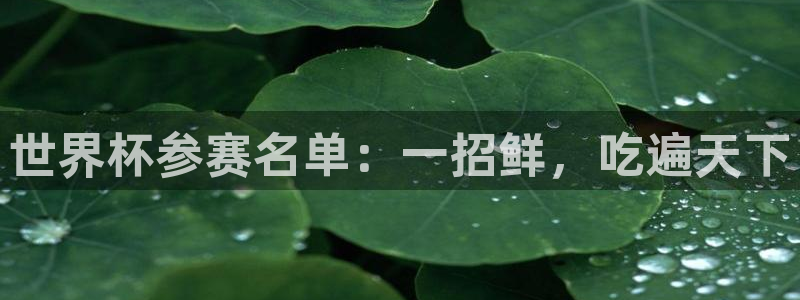 2006世界杯：世界杯参赛名单：一招鲜，吃遍天下