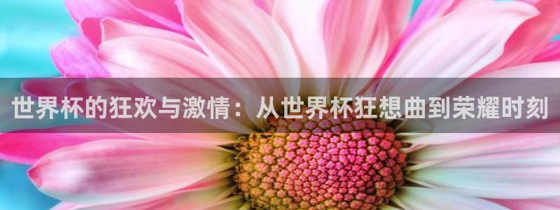 女足世界杯直播：世界杯的狂欢与激情：从世界杯狂想曲到荣耀时刻