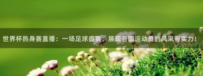 国际足联世界杯：世界杯热身赛直播：一场足球盛宴，展现各国运动员的风采与实力！