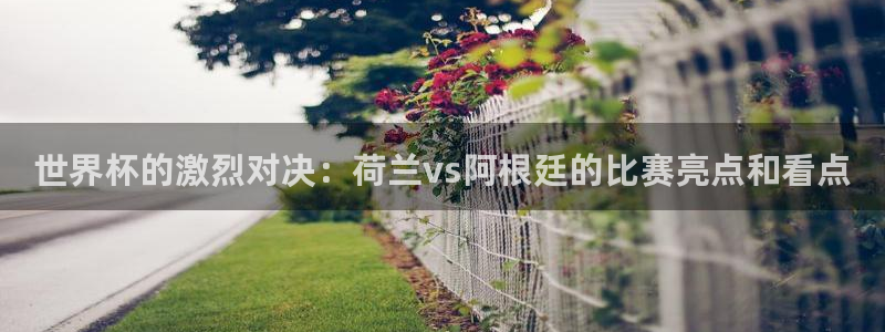 世预赛赛程表：世界杯的激烈对决：荷兰vs阿根廷的比赛亮点和看点