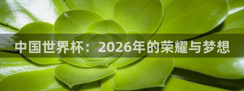 2026足球世界杯赛程：中国世界杯：2026年的荣耀与梦想