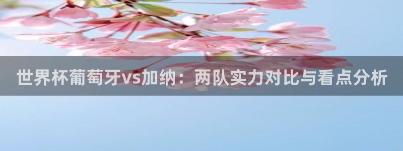 2026世界杯预选赛：世界杯葡萄牙vs加纳：两队实力对比与看点分析