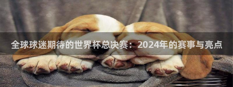 足球世界杯：全球球迷期待的世界杯总决赛：2024年的赛事与亮点