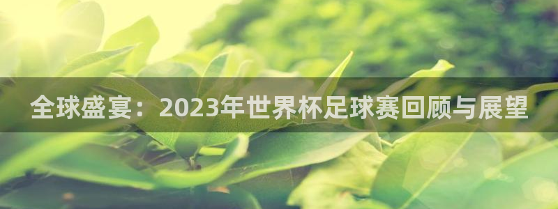 世界杯 直播：全球盛宴：2023年世界杯足球赛回顾与展望