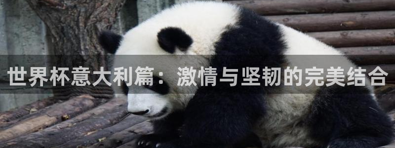 西超杯直播：世界杯意大利篇：激情与坚韧的完美结合