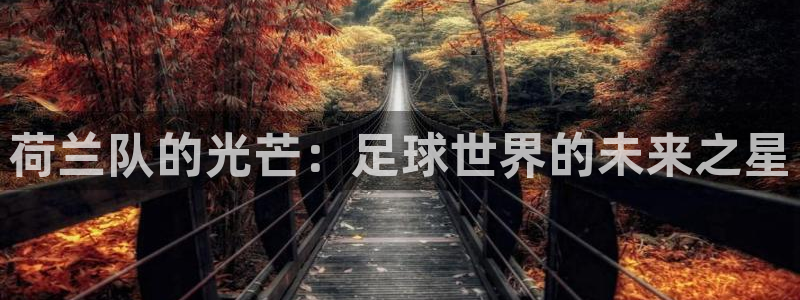亚洲区世界杯预选赛：荷兰队的光芒：足球世界的未来之星