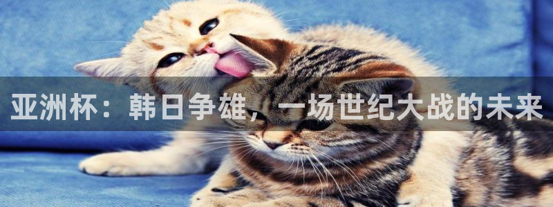 世界杯2026赛程表：亚洲杯：韩日争雄，一场世纪大战的未来