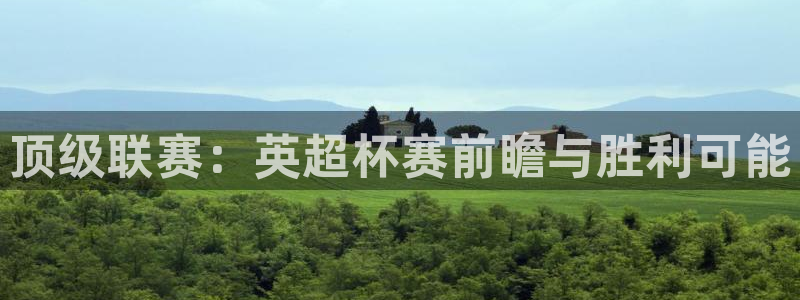 2006世界杯：顶级联赛：英超杯赛前瞻与胜利可能